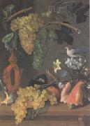 Juan de  Espinosa Still Life with Grapes (san 05) oil painting on canvas